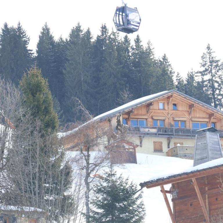 Le Chalet des pistes - cœur de l'Espace Diamant - Apartment with Mountain View - 7