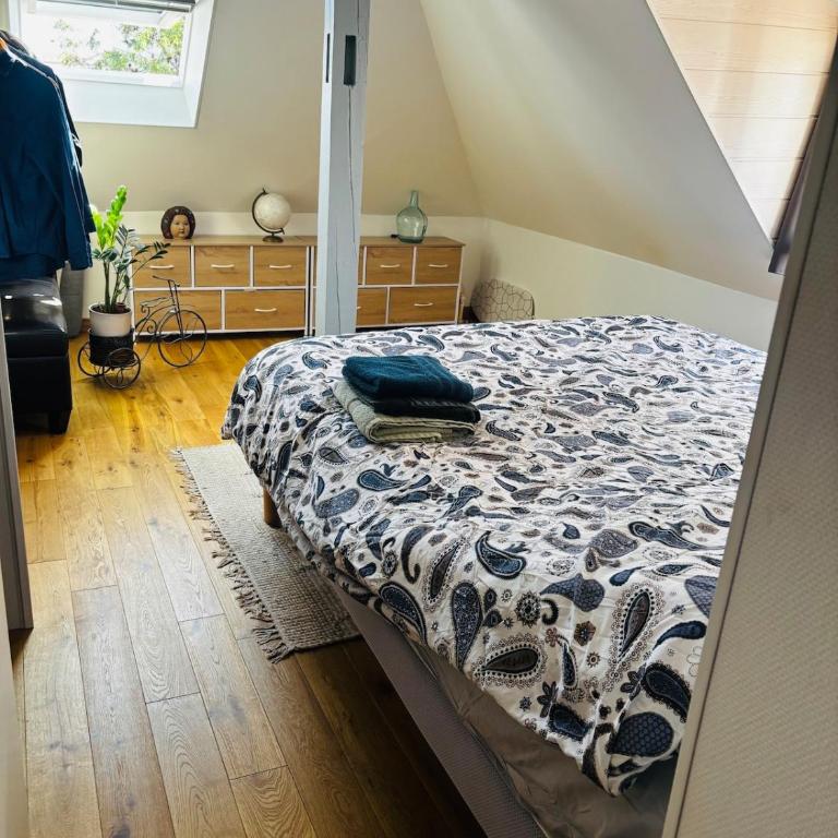 Un petit cocon sous les toits - Appartement 1 Chambre - 3