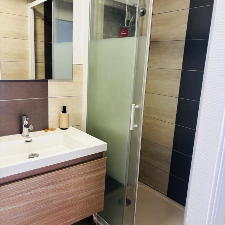 Un petit cocon sous les toits - Appartement 1 Chambre - 5