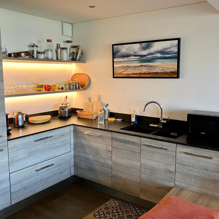 Exceptional view of Saint-Malo Seaside garden - Appartement 1 Chambre - 3