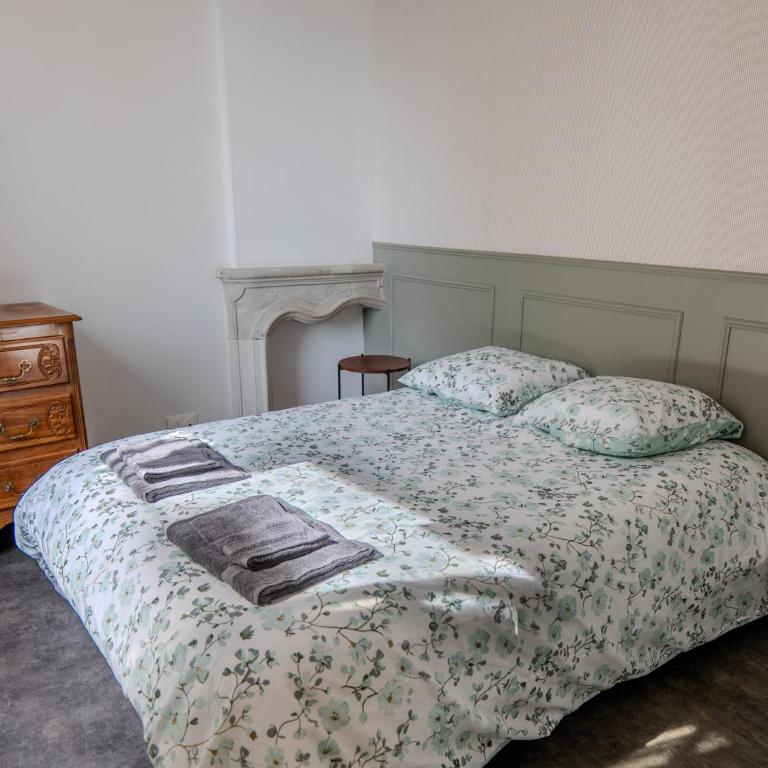 Appartement de charme - Cœur de la Doutre - Angers - 4 à 6 personnes - Two-Bedroom Apartment - 4