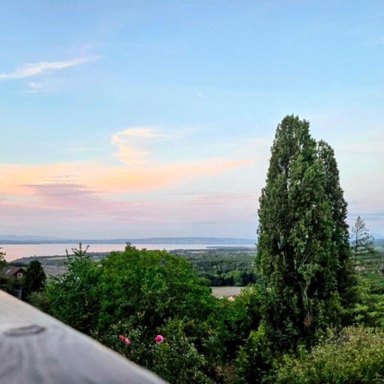 AKHET Villa panoramique avec vue Léman et Alpes - Villa - 2