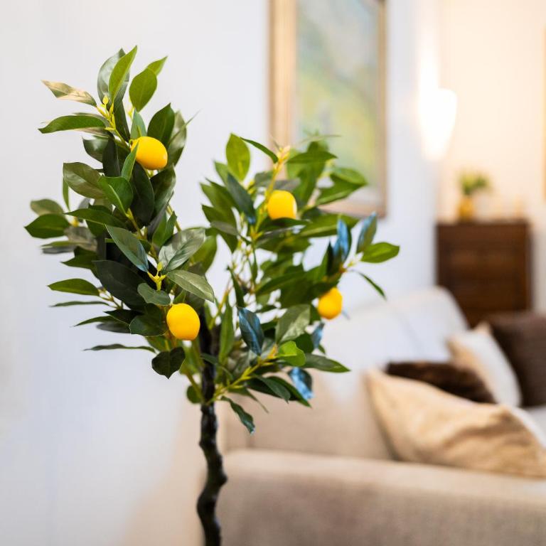 Valtorta Living - Elegant 3BR Apartment MM Turro - Three-Bedroom Apartment - 63