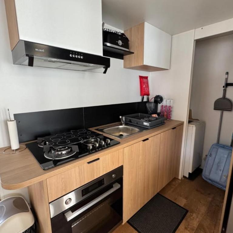 Mobil-home 3 chambres 2 SDB - Bungalow - 3