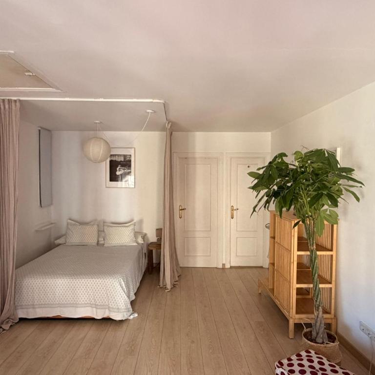 Lovely studio con balconcitos - Apartment mit 1 Schlafzimmer - 6