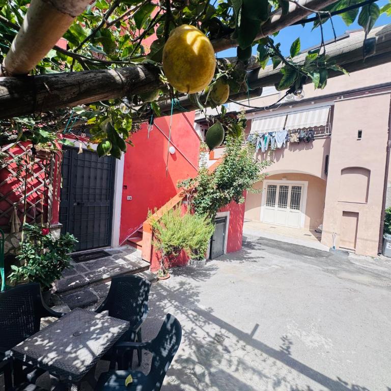 Domus Carolina - Appartamento - Piano Terra - 6