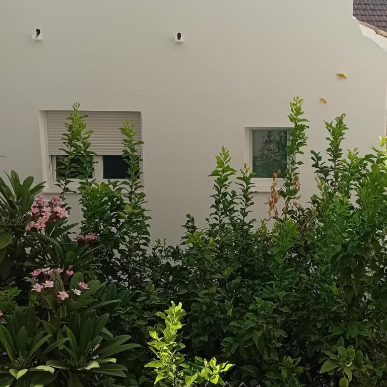 Casa La Victoria - Appartamento con 2 Camere da Letto - 8