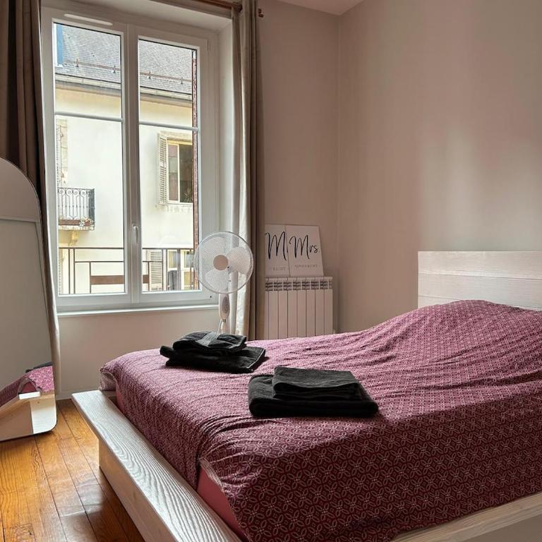 Calme - Cœur de Chambéry - Gare & Centre à pied ! - Appartement 1 Chambre - 22