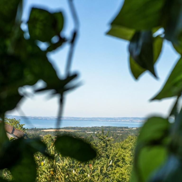 AKHET Villa panoramique avec vue Léman et Alpes - Villa - 21