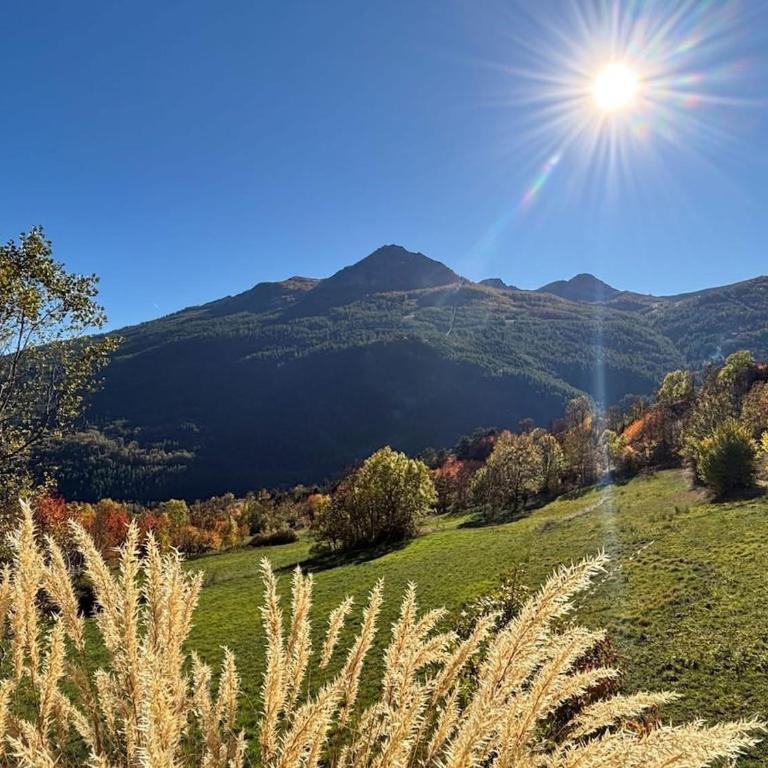 Le Mélèze d'Or Appartement Serre-Chevalier Chantemerle - Appartement 2 Chambres - 42