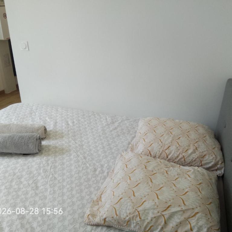 Villa des Roses - Appart T2, 32m2, RDC, vue sur jardin, "Le chic" - Appartamento con 1 Camera da Letto - 3