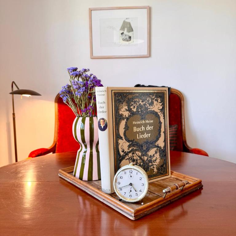 Le Brocanteur, centre de Rennes, quartier Saint Hélier - Appartement 1 Chambre - 4