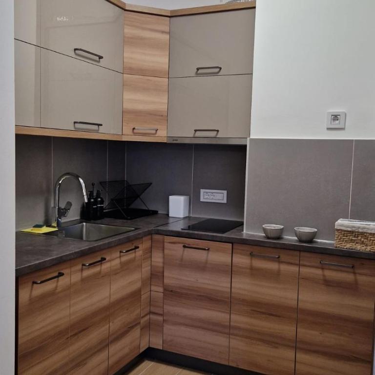Divcibare Peak - Apartman sa 2 Spavaće Sobe - 23