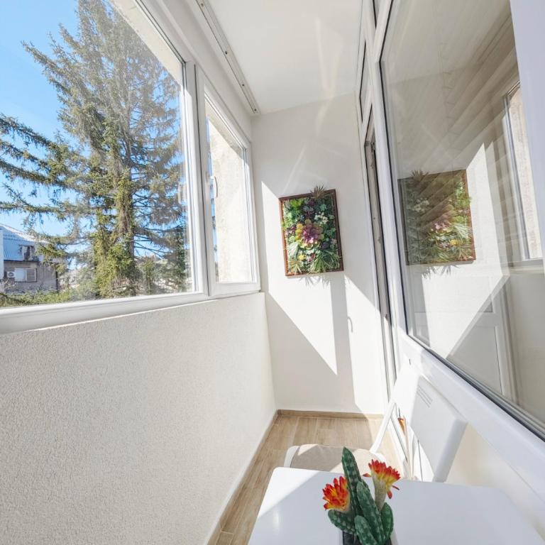 Apartman Čokić 2 - Apartment mit 1 Schlafzimmer - 2