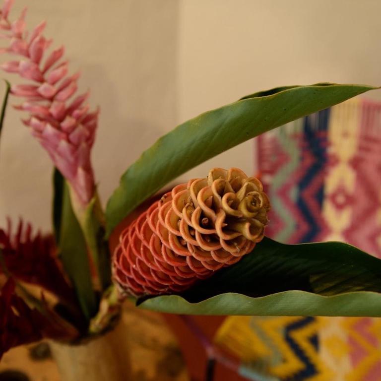 Finca Carpe Diem Ecolodge - Deluxe Suite - 2