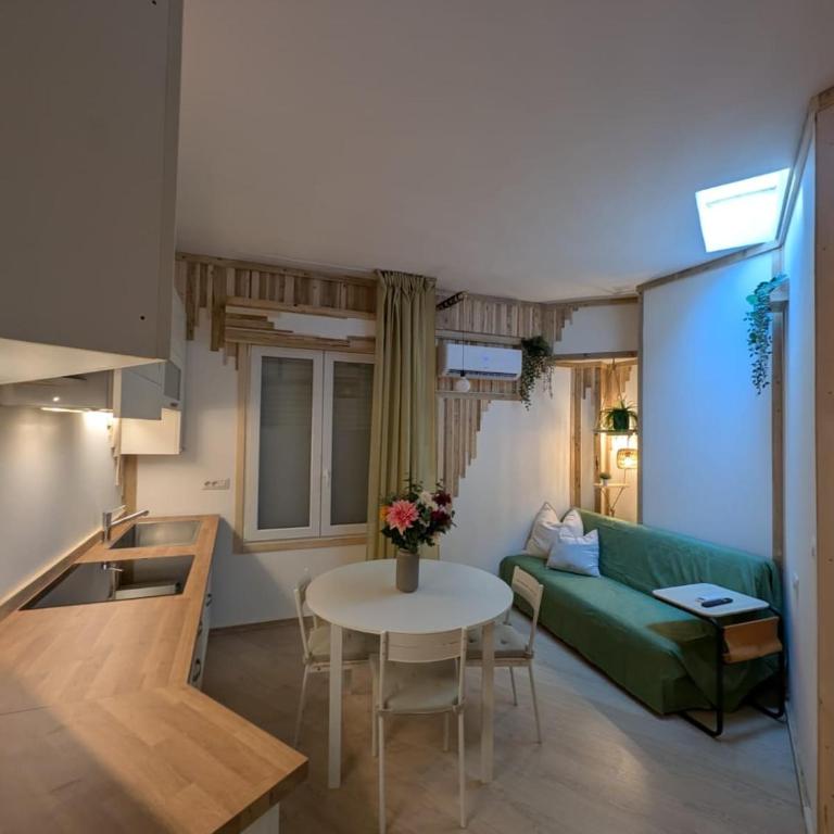Bilocale in Terrazza Mascagni - One-Bedroom Apartment - 5