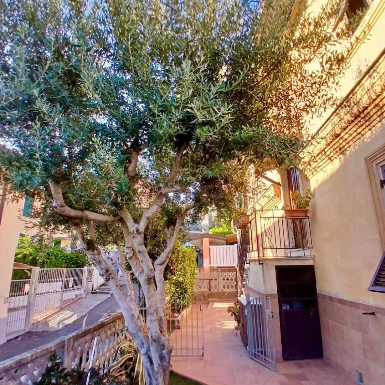 L'Ulivo al 38 - Porta delle Cinque Terre - Two-Bedroom Apartment - 12