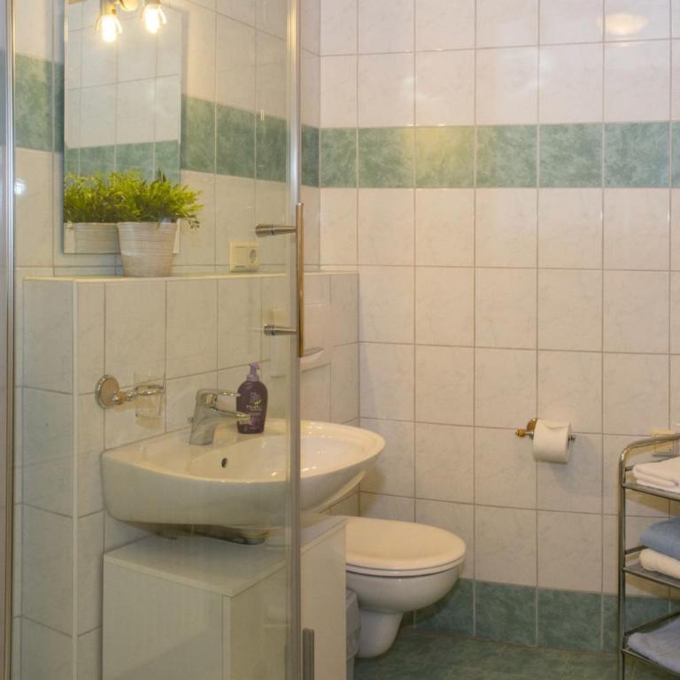Apartment Enzian - Am Skihügel - Superior Apartment mit 1 Schlafzimmer und Balkon - 6