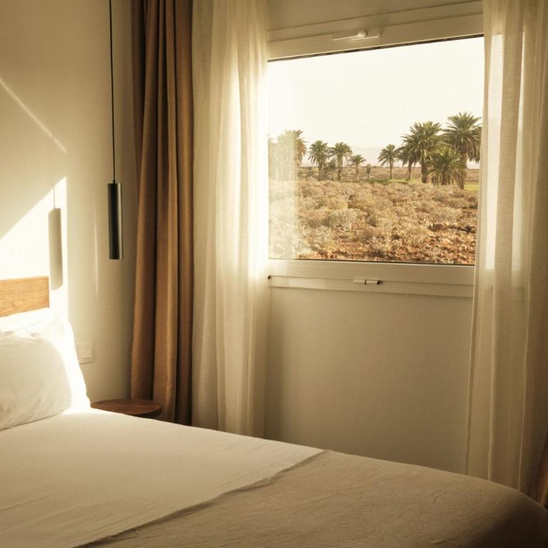 Alava Suites - Apartamento con balcón - 4