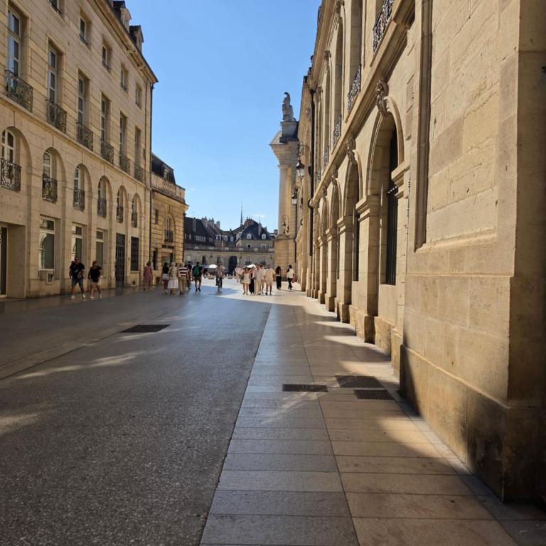 Hyper centre, rue piétonne, calme et lumineux JM1B - Monolocale - 17