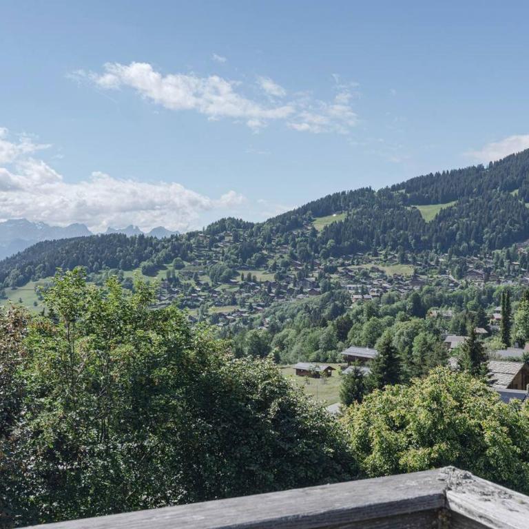 Appart chalet vieux bois, vue Alpes, centre de Villas - Apartment - 62