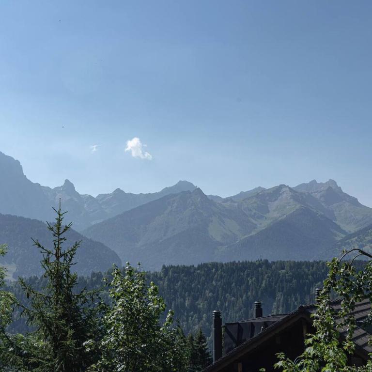 Villars 3 chambres, sauna privatif et terrasse - Apartment - 19
