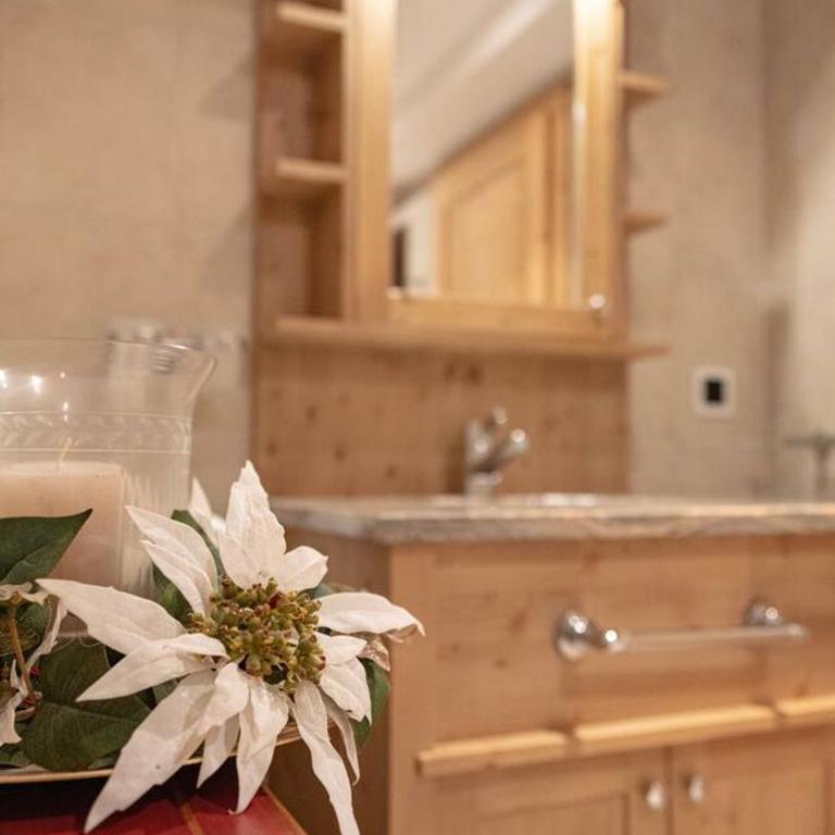Villars 3 chambres, sauna privatif et terrasse - Apartment - 24