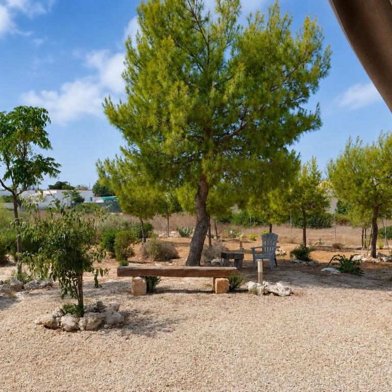 Trullo del Colonnello - Casa con 1 Camera da Letto - 19
