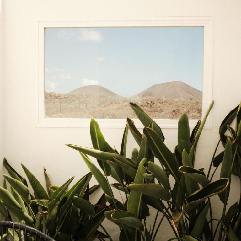 Alava Suites - Apartamento Estudio - 7