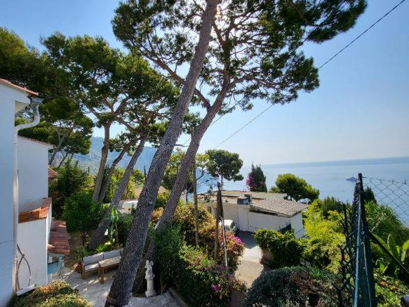 Villa Le Cap - Maison 1 Chambre - 6