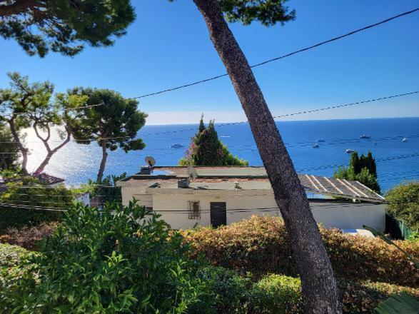 Villa Le Cap - Maison 1 Chambre - 28