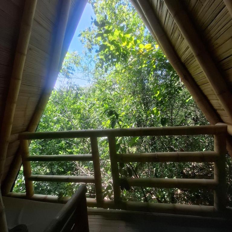 Glamping 3 - Tienda - 5