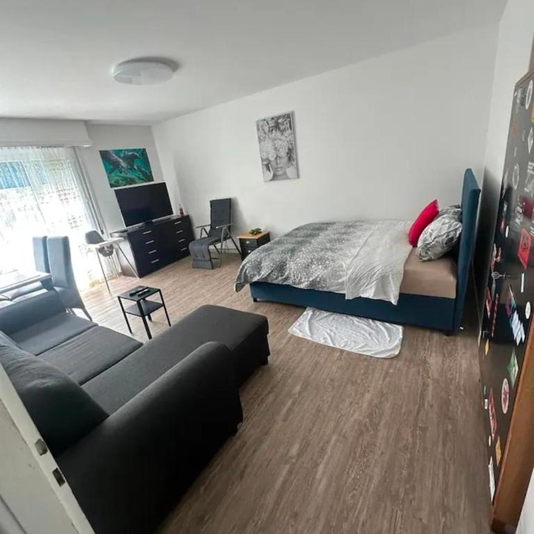 Guest House - One-Bedroom Apartment - 5