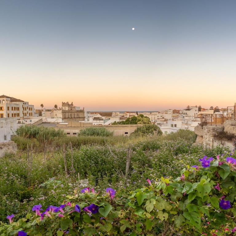 Alma Marinera - Skyline de Tarifa - Apartamento de 2 dormitorios - 14