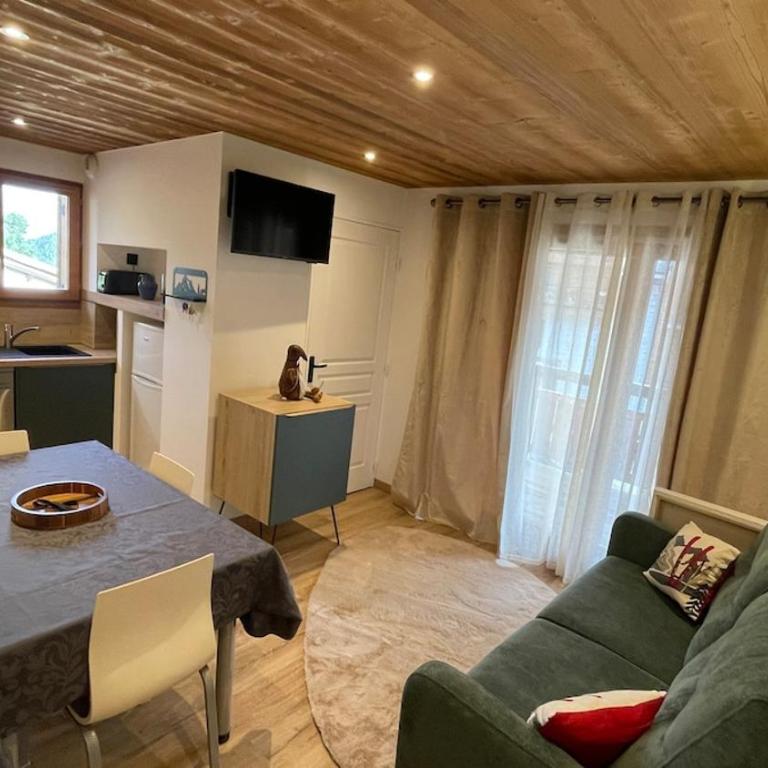 Chaleureux T3 proche des pistes Serre Chevalier Chantemerle Saint Chaffrey vue sur la Luc Alphand - Appartement 2 Chambres - 15