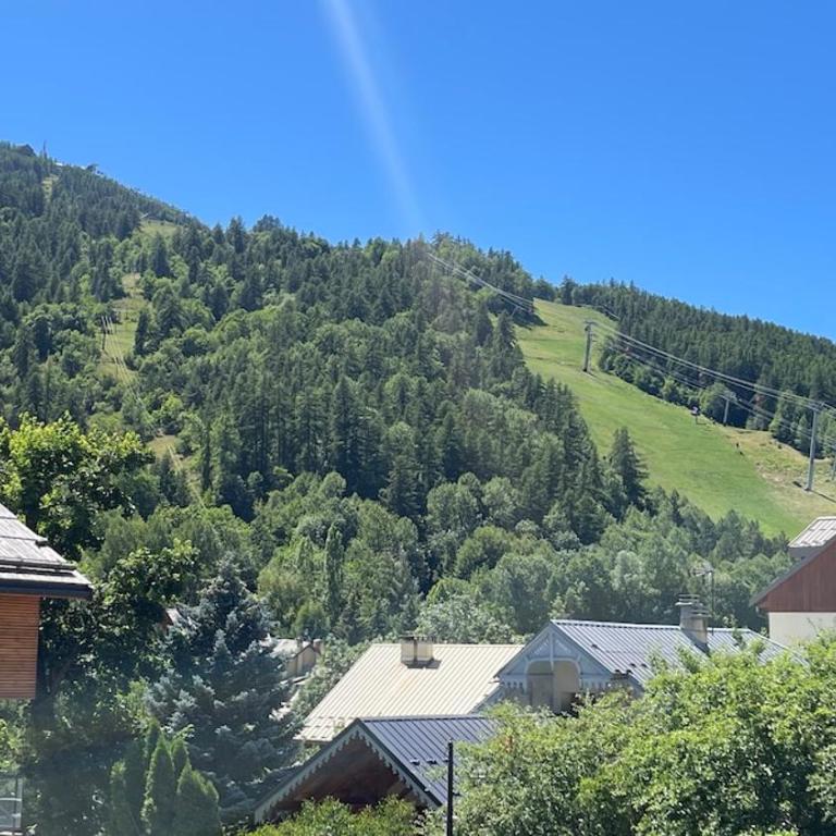 Chaleureux T3 proche des pistes Serre Chevalier Chantemerle Saint Chaffrey vue sur la Luc Alphand - Appartement 2 Chambres - 21
