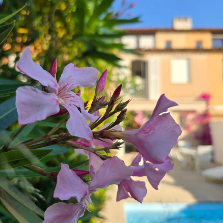 Villa Nieva, maison de pêcheur avec piscine privée et son bateau - Villa avec Piscine Privée - 87