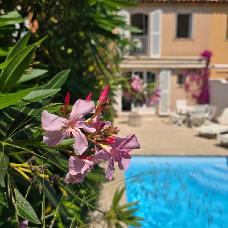 Villa Nieva, maison de pêcheur avec piscine privée et son bateau - Villa avec Piscine Privée - 86
