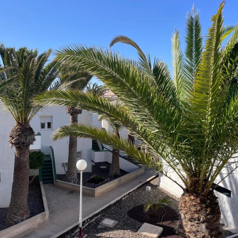 casa buena onda - Apartamento de 1 dormitorio - 1