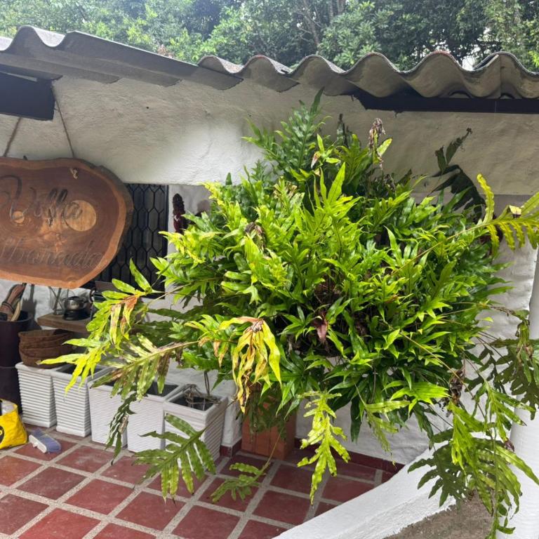 Cabaña Villa Alborada - Casa de 3 dormitorios - 5