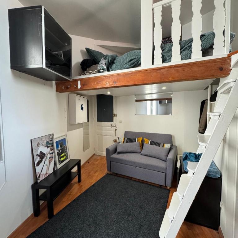 Petit Cocon sous les toits de Paris - Appartement 1 Chambre - 1