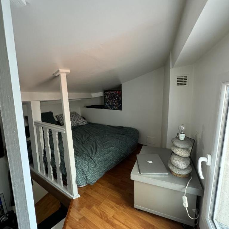 Petit Cocon sous les toits de Paris - Appartement 1 Chambre - 3
