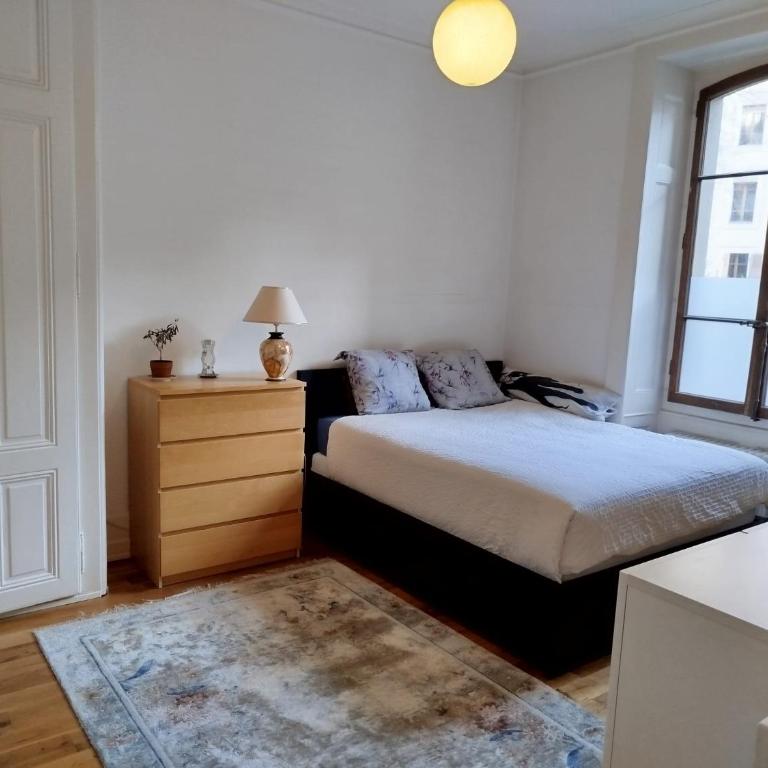 Spacious unique 150m2 apartment Geneva city center - Appartement 3 Chambres - 31