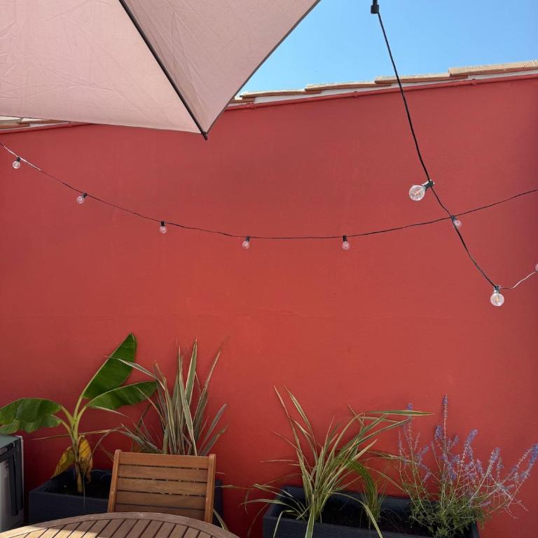 Maison Hyper Centre, rénové climatisé - Villa 1 Chambre - 9