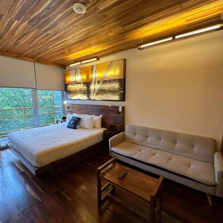 Residencia 38 Steps to Beach & 5th Ave - Apartment mit 1 Schlafzimmer - 3
