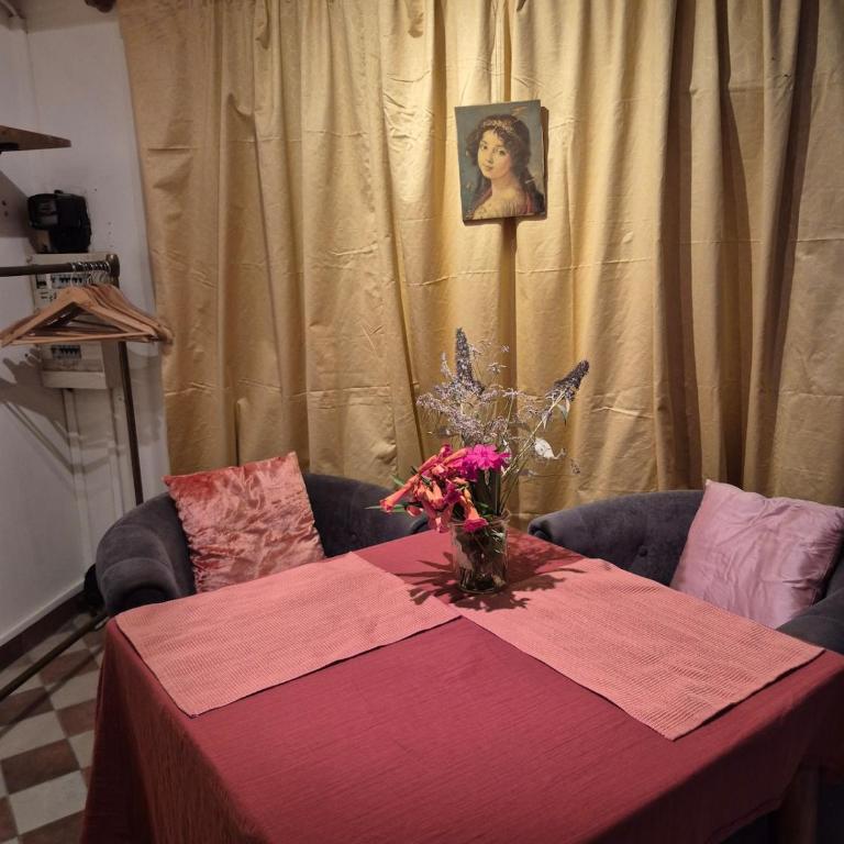Studio in historic center - Appartement 1 Chambre - 20