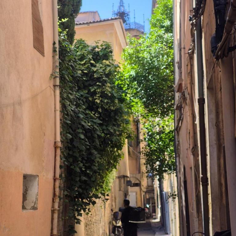 Studio in historic center - Appartement 1 Chambre - 37