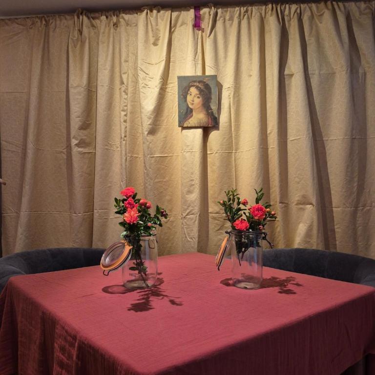 Studio in historic center - Appartement 1 Chambre - 40