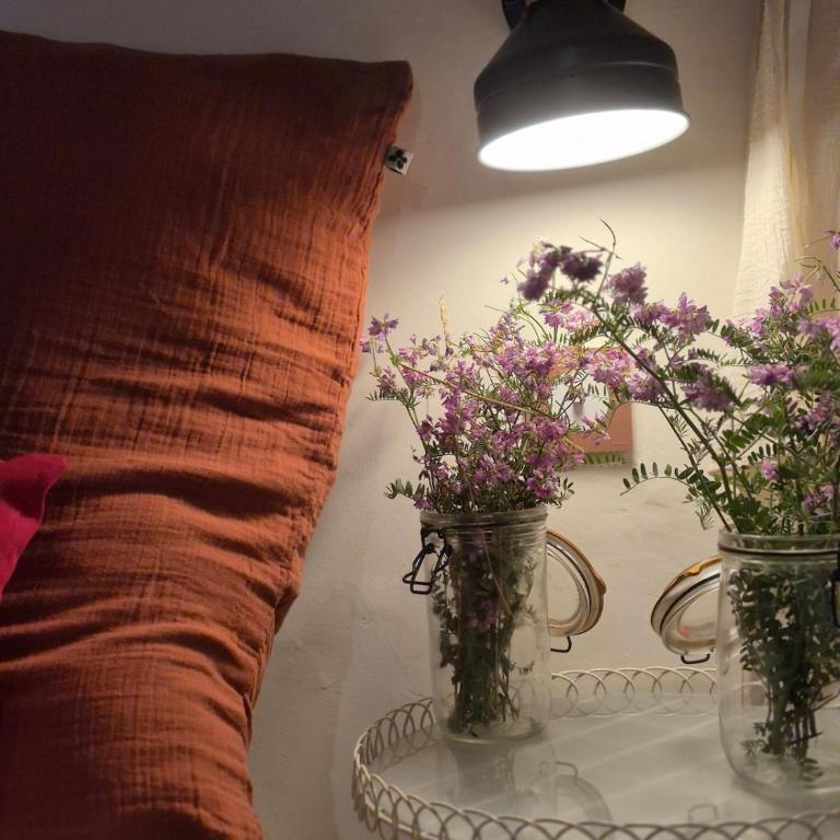 Studio in historic center - Appartement 1 Chambre - 46