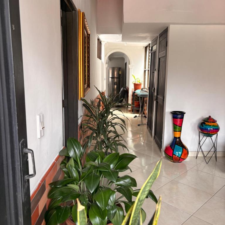 Hogar De Ensueño - Apartamento de 2 dormitorios - 10